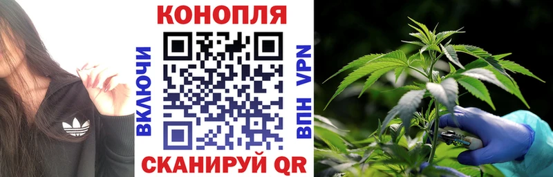 мориарти как зайти  купить наркоту  Семикаракорск  Конопля LSD WEED 